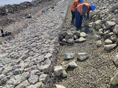 北大荒集团黑龙江二九 O 农场 2025 年高标准农田建设项目一标段供应格宾石笼